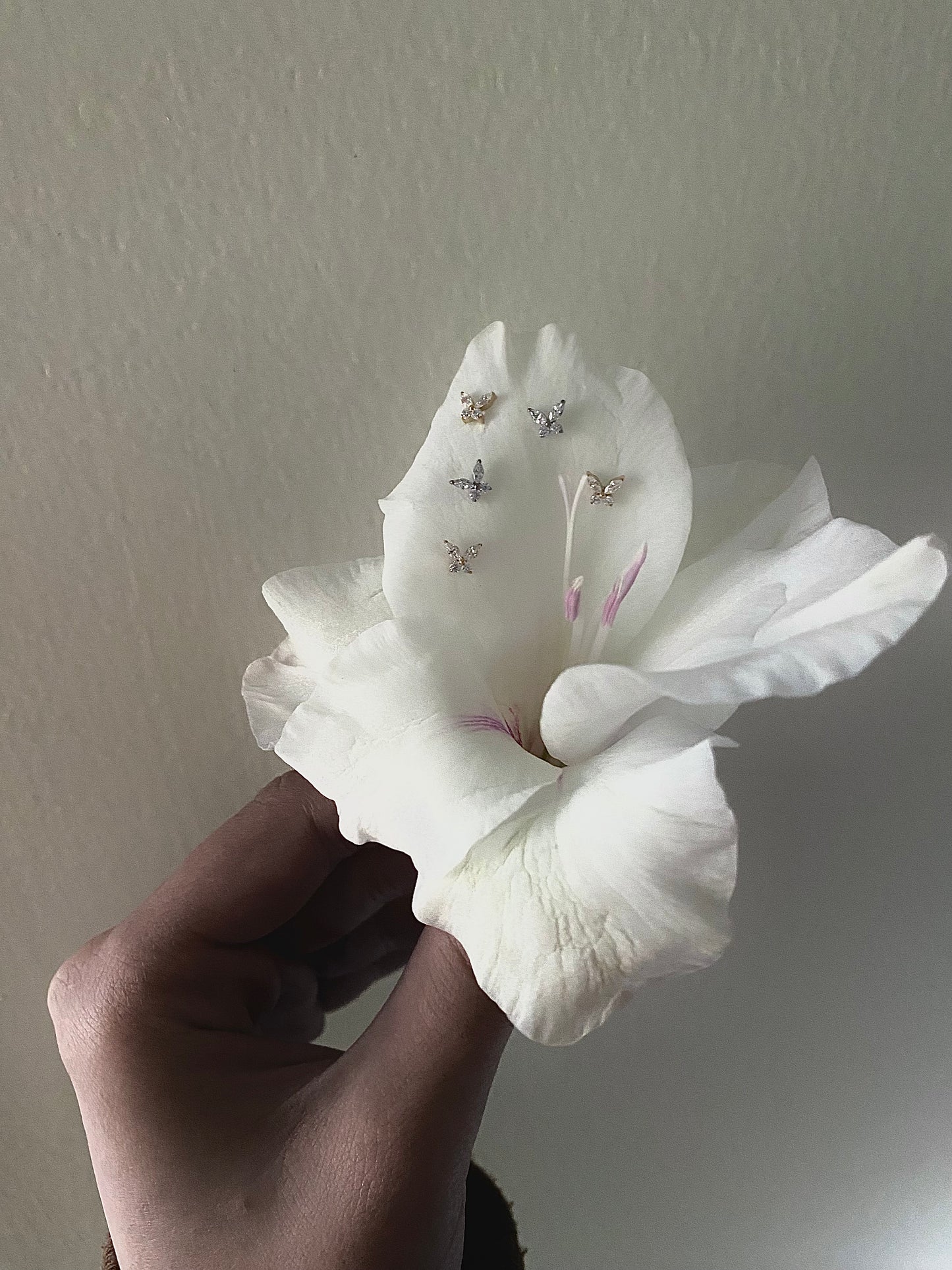 Zircon Butterfly Stud